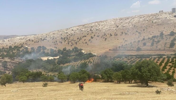 Mardin’deki orman yangını söndürüldü