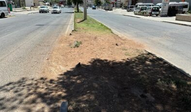 Diyarbakır Turgut Özal Bulvarı’ndaki refüj bakımsız ve tehlikeli