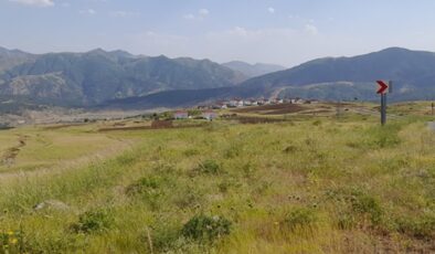 Şenyayla bölgesine yazlık evler kuruldu