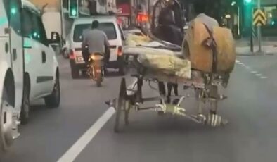 3 tekerli at arabası trafiği tehlikeye attı