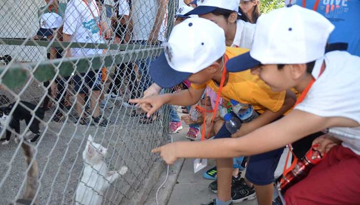 Çocuklar, Hayvan Bakımevi ve Rehabilitasyon Merkezi’ni gezdi