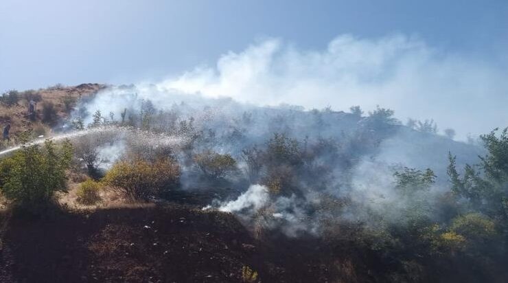 Siirt kırsalında yangın çıktı
