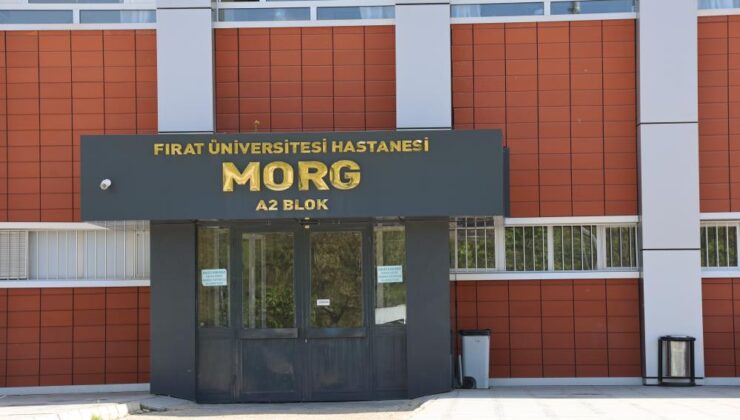 Elazığ’da şarampole yuvarlanan araçta: 1 ölü