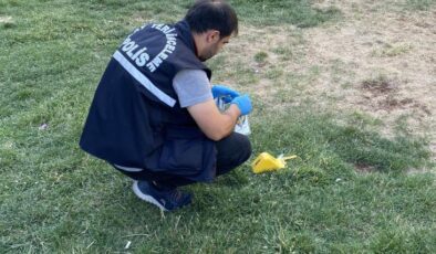 Diyarbakır’da kardeş ağabeyini  tabancayla vurdu