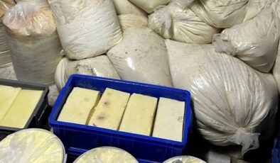 Şanlıurfa’da 8 ton bozuk peynir ve yumurta ele geçirildi