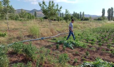 Batmanlı çiftçiler çalıştıkları tarlaya yaptıkları havuzda serinliyor
