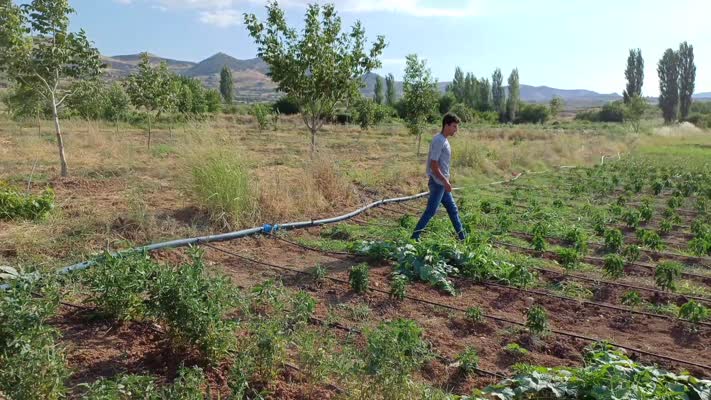 Batmanlı çiftçiler çalıştıkları tarlaya yaptıkları havuzda serinliyor
