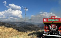 Bingöl’de kırsal alandaki yangın kontrol altında