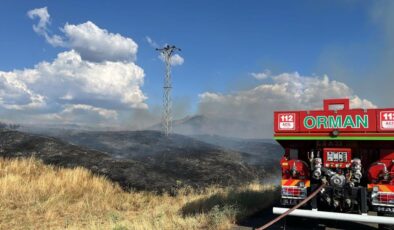 Bingöl’de kırsal alandaki yangın kontrol altında