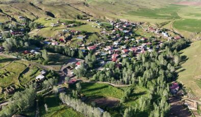 Bitlis ve Muş arasındaki sınır dava sonucu değişti