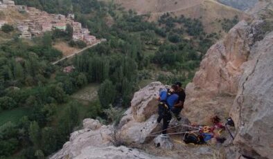 Bitlis’te mahsur kalan keçiler kurtarıldı
