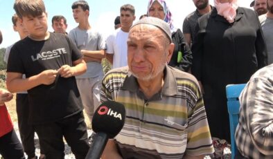 Bursa’da ağaç kesimi köylüleri gözyaşına boğdu