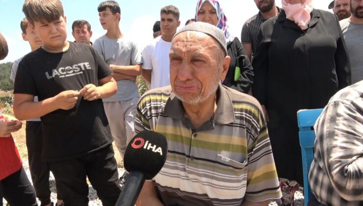Bursa’da ağaç kesimi köylüleri gözyaşına boğdu