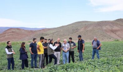 Digor kars’a kavun ve karpuz sağlayacak