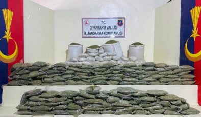 Lice’de 285 kilogram toz esrar ele geçirildi