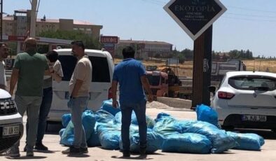 Diyarbakır’da işyerinde 296 kilo skunk ele geçirildi