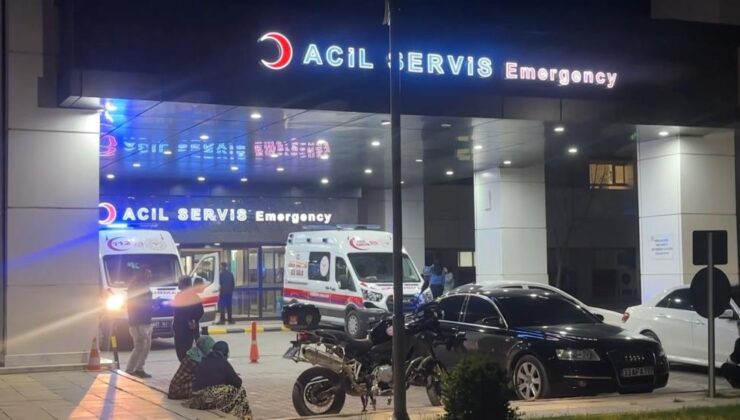 Elazığ’da otomobil şarampole uçtu