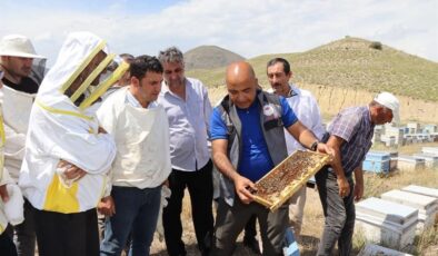 Erzurum arıcılığında ana arı önemi vurgulandı