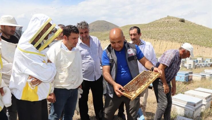 Erzurum arıcılığında ana arı önemi vurgulandı