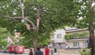Erzincan’da fırtına bazı binaların çatısına zarar verdi