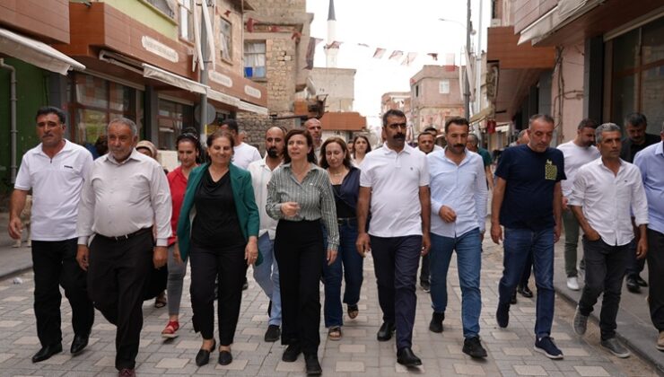 Eş Başkanlar Hani’nin sorunlarını yerinde gördü