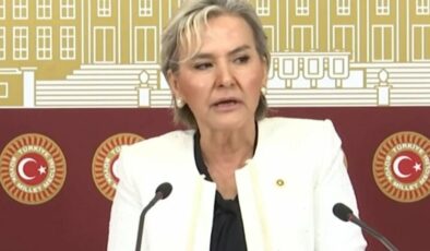 İYİ Parti İstanbul Milletvekili Özdemir partisinden istifa etti