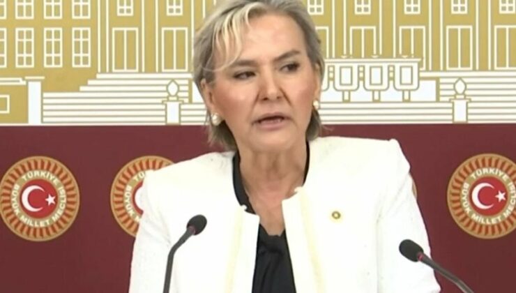 İYİ Parti İstanbul Milletvekili Özdemir partisinden istifa etti