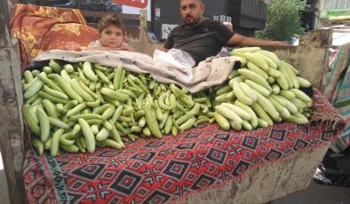 Yaz Kıtıları Pazarları Renklendirdi