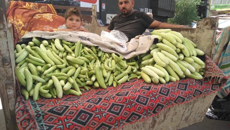 Yaz Kıtıları Pazarları Renklendirdi