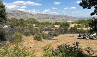 Diyarbakır Kulp’ta yangın paniği