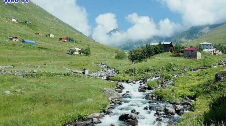 Kaçkar Dağları’nda yaylalar çiçek bahçesine döndü