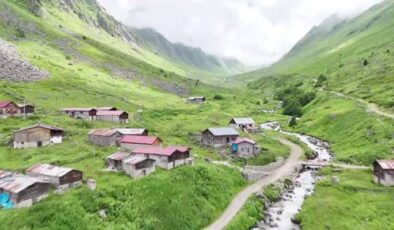 Kaçkar yaylasında kadınlar yarım asırdır hayvancılık yapıyor
