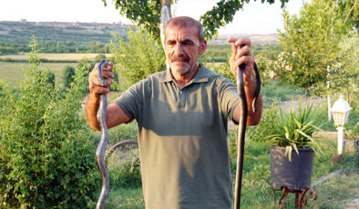 Baba-oğulun yılan merakı