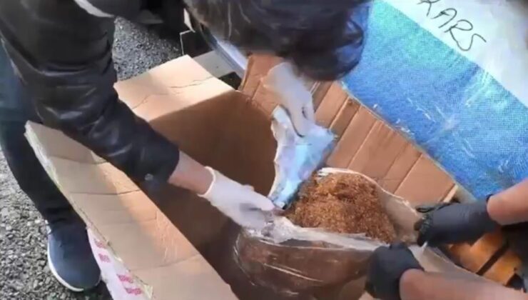 Kars’ta tütünler arasından çıkan cephanelik