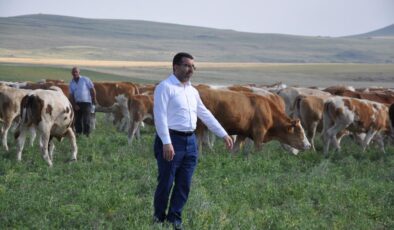 Kars’taki meralar ekonomiye kazanç sağlıyor