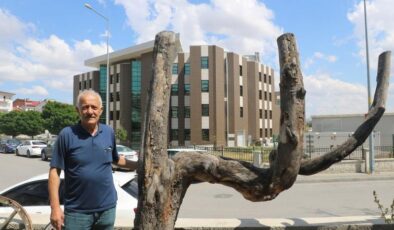 Şekli dikkatini çekti, yıllarca muhafaza etti