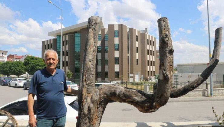 Şekli dikkatini çekti, yıllarca muhafaza etti