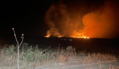 Lice’de orman yangını söndürüldü