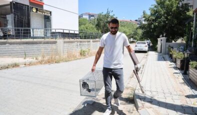 Papağan bulundu, sahibini arıyorlar