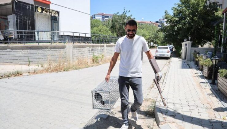 Papağan bulundu, sahibini arıyorlar