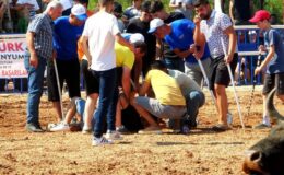 Rakibine yenilen boğa, sahibine saldırdı