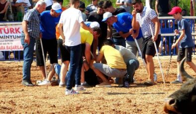 Rakibine yenilen boğa, sahibine saldırdı