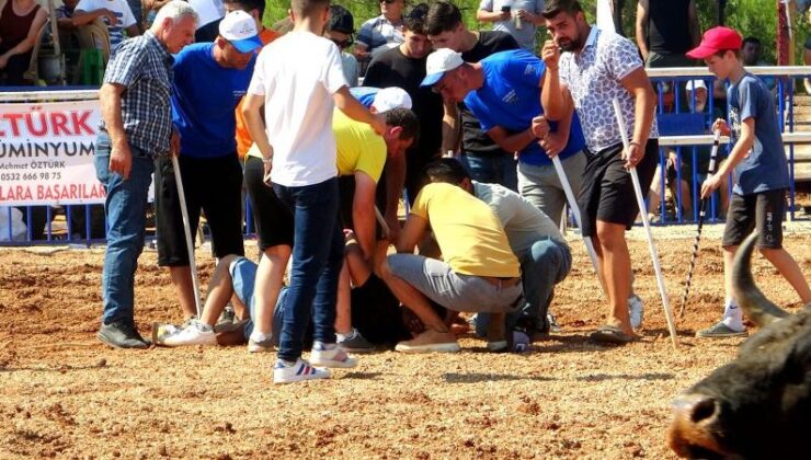 Rakibine yenilen boğa, sahibine saldırdı