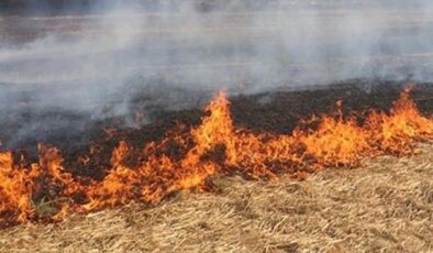 Şanlıurfa’da anız yakan 206 kişiye ceza