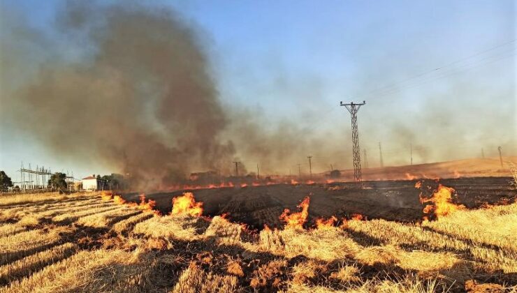 Şanlıurfa’da anız yangını mahalleleri karanlıkta bıraktı