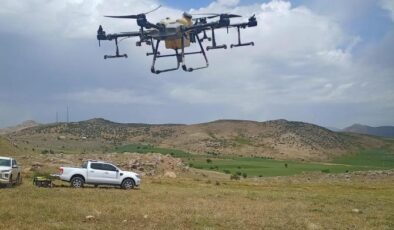 Siirt’te çekirgeye dronlu müdahale