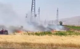 Van Tuşba’da 4 noktada yangın alarmı