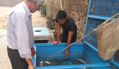Canlı Balık Satışlarına ilgi büyük