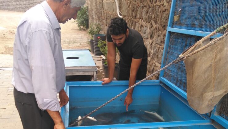 Canlı Balık Satışlarına ilgi büyük