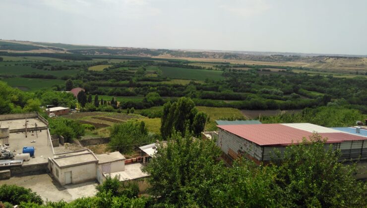 Hevsel Bahçeleri Dört Mevsim Göz Kamaştırıyor